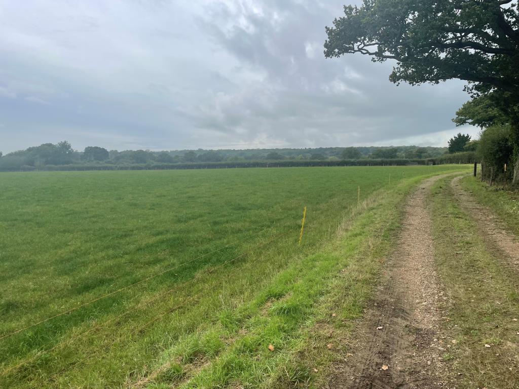 Lot: 94 - JUST OVER 33 ACRES OF FARMLAND IN STRATEGIC LOCATION - TO BE OFFERED FOR SALE BY PUBLIC AUCTION ON FRIDAY, 25TH OCTOBER 2024 - Easterly view of land from track